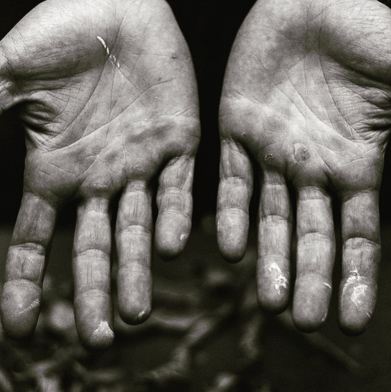 Mes mains de travailleur.